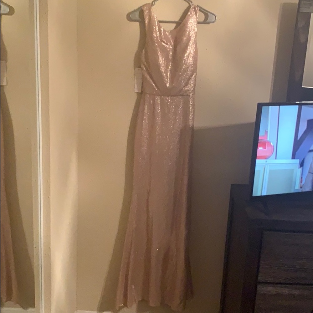 Bari Jay champagne gown
